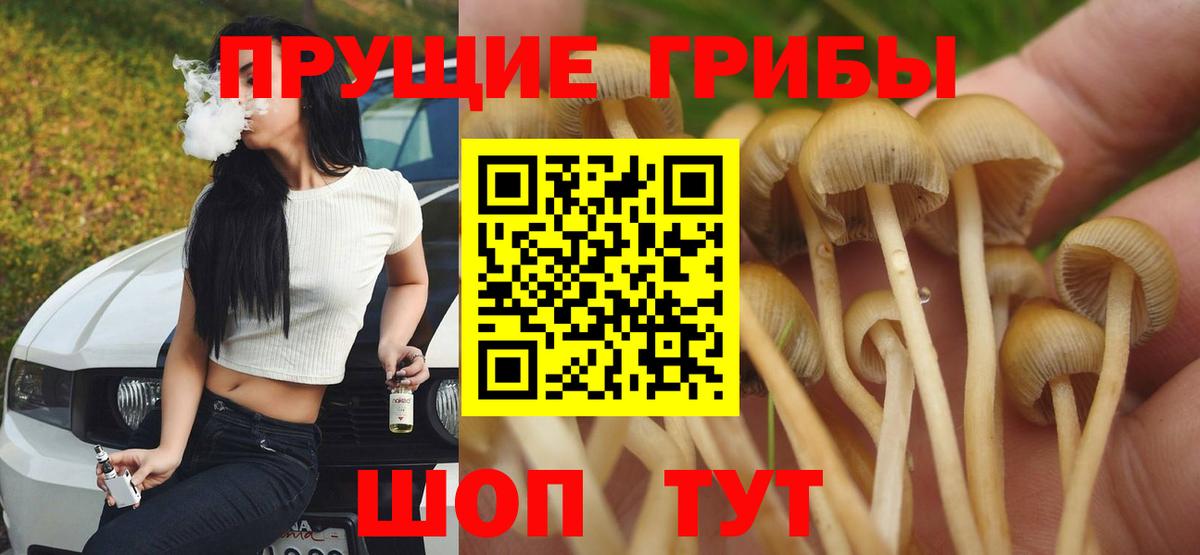 Меф МЯУ МЯУ   Похвистнево  Метадон  Купить наркотики цена  ГАШ  Марихуана  Бошки Шишки  Вход с VPN 
