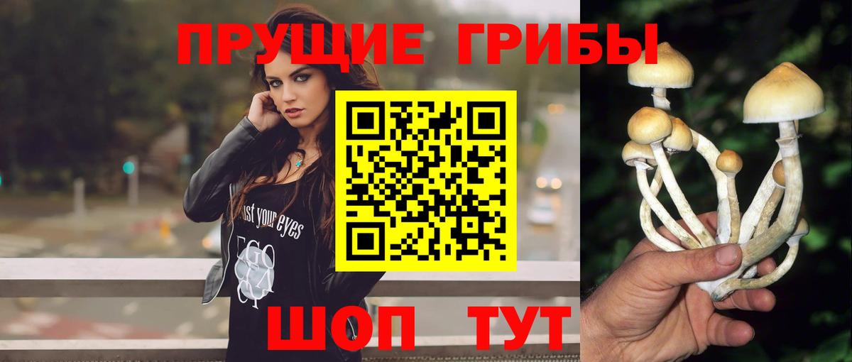 Галлюциногенные грибы мицелий Похвистнево