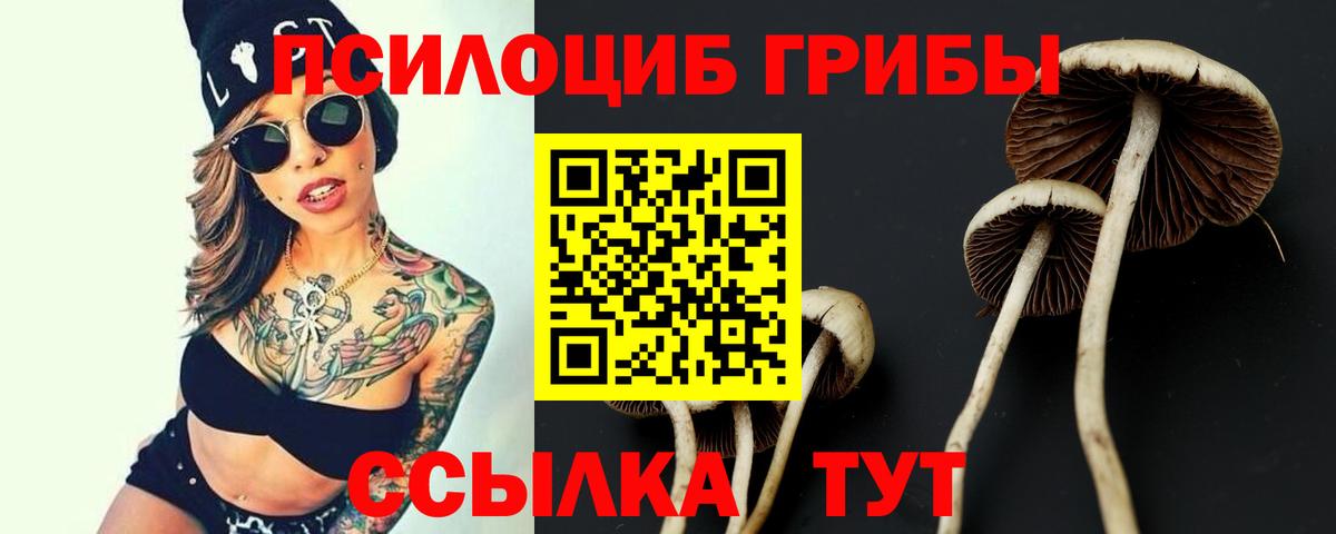 Похвистнево  Псилоцибиновые грибы Magic Shrooms  Вход с VPN 